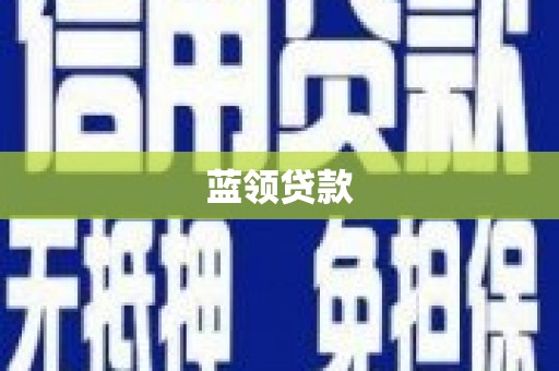 天元蓝领贷款