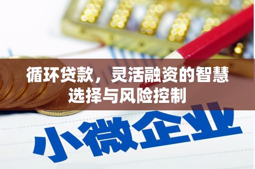 天元循环贷款，灵活融资的智慧选择与风险控制