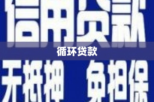 天元循环贷款