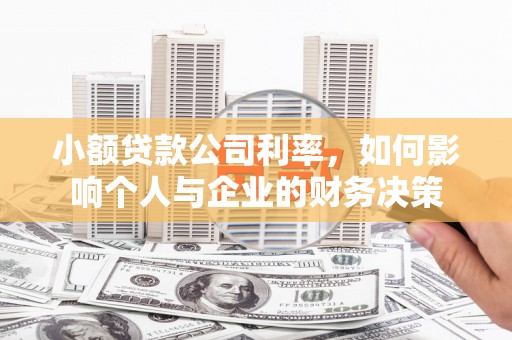 天元小额贷款公司利率，如何影响个人与企业的财务决策