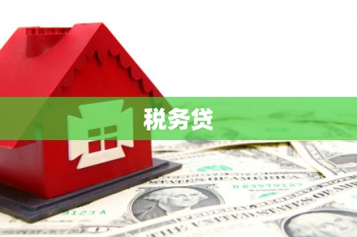 天元税务贷