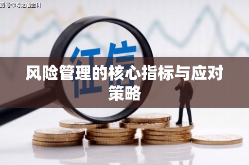 天元风险管理的核心指标与应对策略