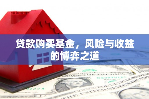 天元贷款购买基金，风险与收益的博弈之道