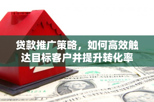 天元贷款推广策略，如何高效触达目标客户并提升转化率