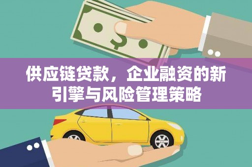 天元供应链贷款，企业融资的新引擎与风险管理策略