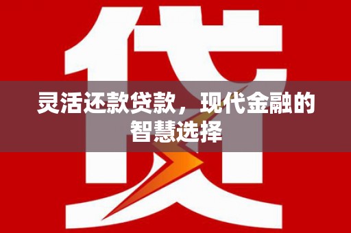 天元灵活还款贷款，现代金融的智慧选择