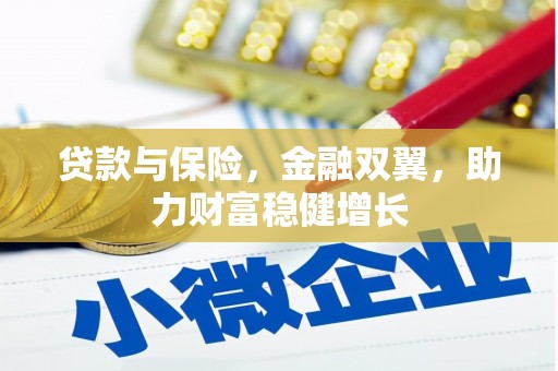 天元贷款与保险，金融双翼，助力财富稳健增长