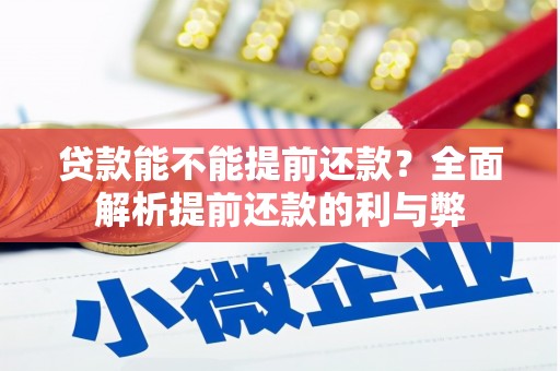 天元贷款能不能提前还款？全面解析提前还款的利与弊