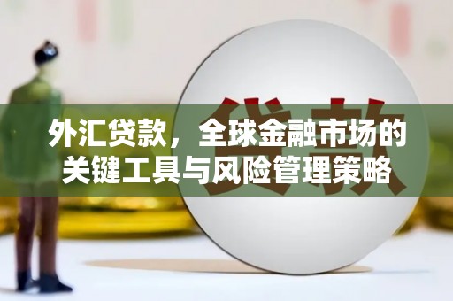 天元外汇贷款，全球金融市场的关键工具与风险管理策略