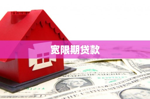 天元宽限期贷款