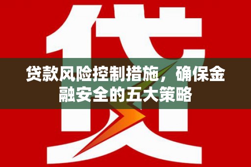 天元贷款风险控制措施，确保金融安全的五大策略
