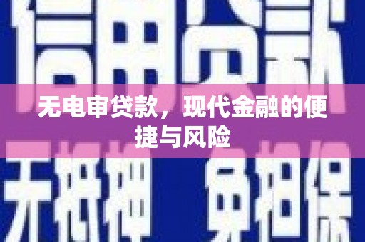 天元无电审贷款，现代金融的便捷与风险