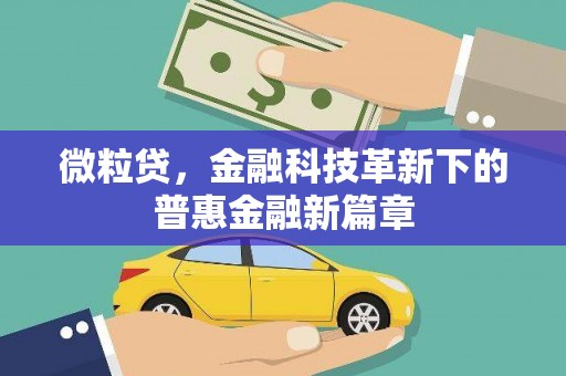 天元微粒贷，金融科技革新下的普惠金融新篇章
