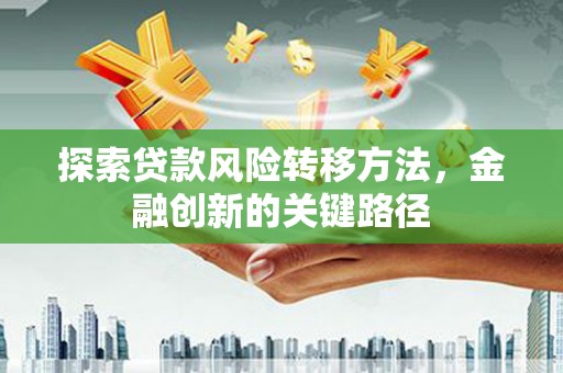 天元探索贷款风险转移方法，金融创新的关键路径