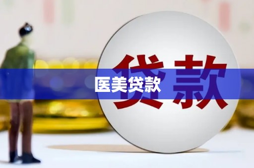 天元医美贷款
