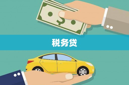 天元税务贷