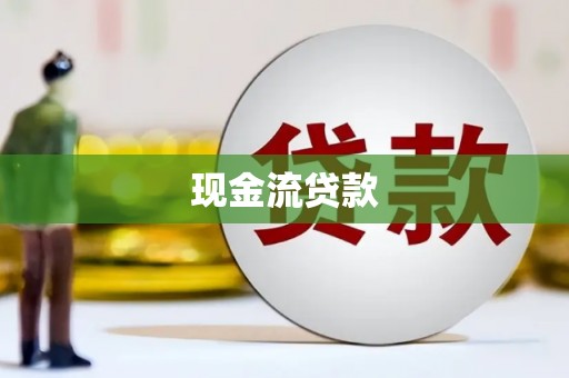天元现金流贷款