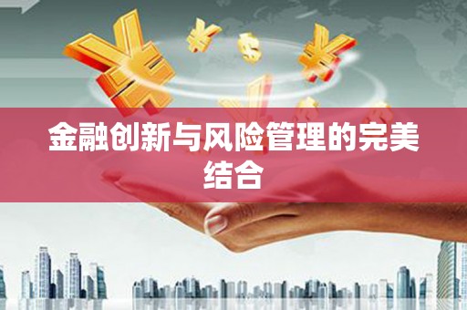 天元金融创新与风险管理的完美结合