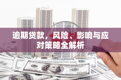 天元逾期贷款，风险、影响与应对策略全解析