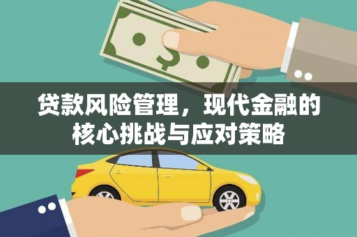 天元贷款风险管理，现代金融的核心挑战与应对策略