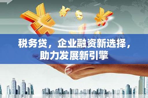 天元税务贷，企业融资新选择，助力发展新引擎