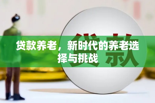 天元贷款养老，新时代的养老选择与挑战