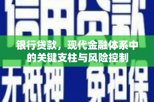 天元银行贷款，现代金融体系中的关键支柱与风险控制