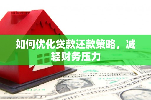 天元如何优化贷款还款策略，减轻财务压力
