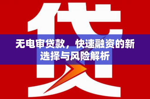 天元无电审贷款，快速融资的新选择与风险解析