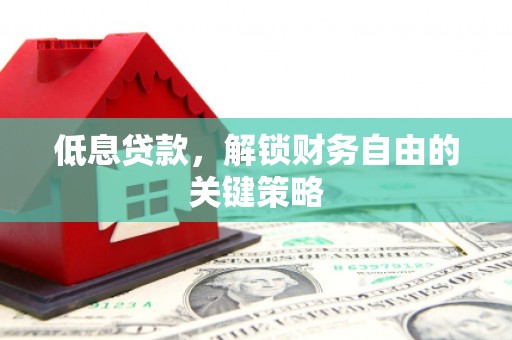 天元低息贷款，解锁财务自由的关键策略