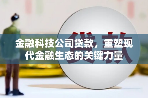 天元金融科技公司贷款，重塑现代金融生态的关键力量