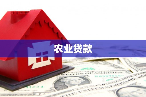 天元农业贷款