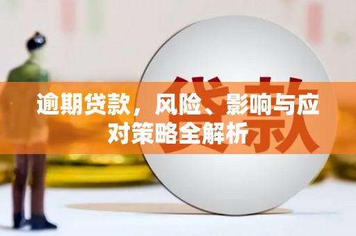 天元逾期贷款，风险、影响与应对策略全解析