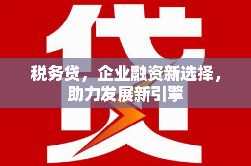 天元税务贷，企业融资新选择，助力发展新引擎