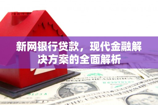 天元新网银行贷款，现代金融解决方案的全面解析