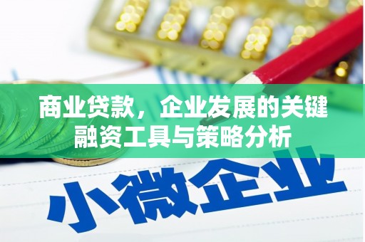 天元商业贷款，企业发展的关键融资工具与策略分析