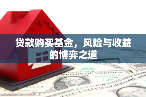 天元贷款购买基金，风险与收益的博弈之道