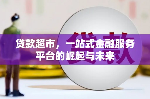 天元贷款超市，一站式金融服务平台的崛起与未来