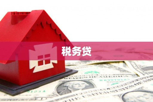 天元税务贷