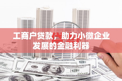天元工商户贷款，助力小微企业发展的金融利器