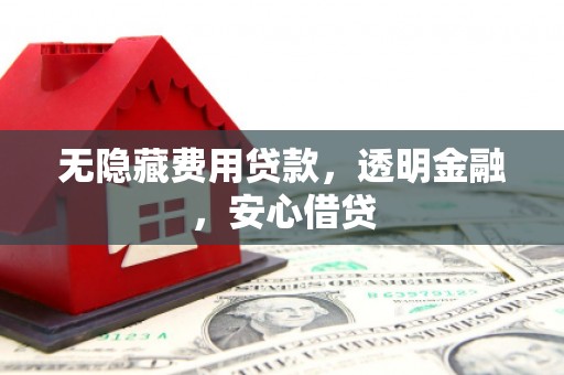 天元无隐藏费用贷款，透明金融，安心借贷
