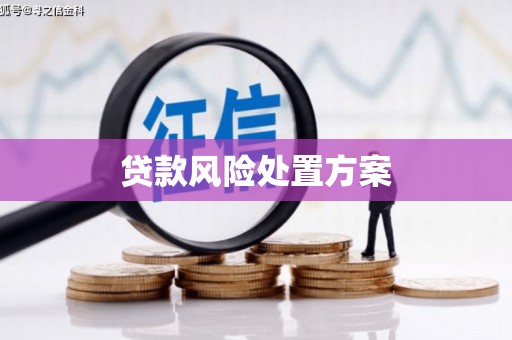 天元贷款风险处置方案