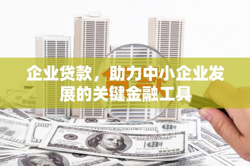 天元企业贷款，助力中小企业发展的关键金融工具