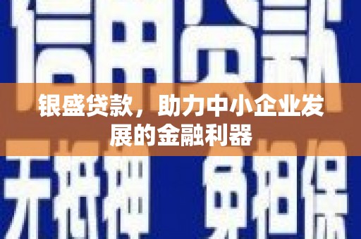 天元银盛贷款，助力中小企业发展的金融利器