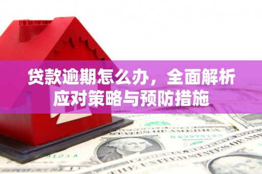 天元贷款逾期怎么办，全面解析应对策略与预防措施