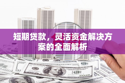 天元短期贷款，灵活资金解决方案的全面解析