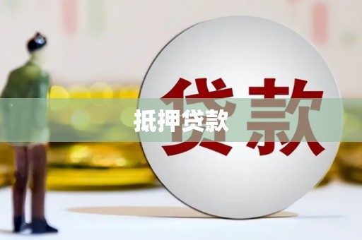 天元抵押贷款