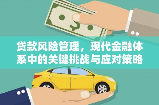 天元贷款风险管理，现代金融体系中的关键挑战与应对策略