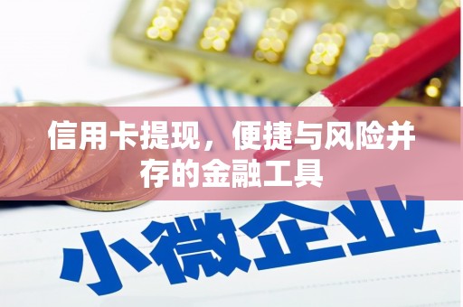 天元信用卡提现，便捷与风险并存的金融工具