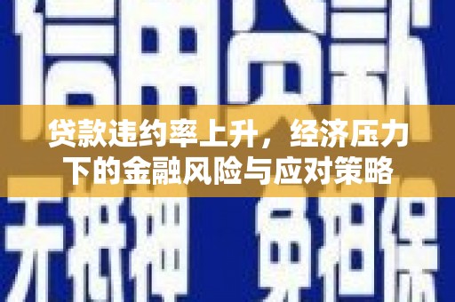 天元贷款违约率上升，经济压力下的金融风险与应对策略